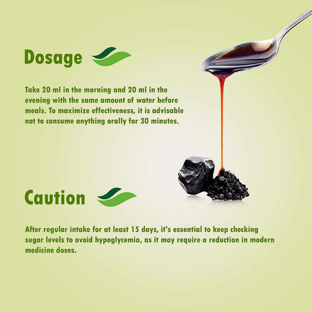 Mantra Ayurveda - Herbal Kit For Diabetes (Diaba Rasaynam & Pankrio) - Image 4